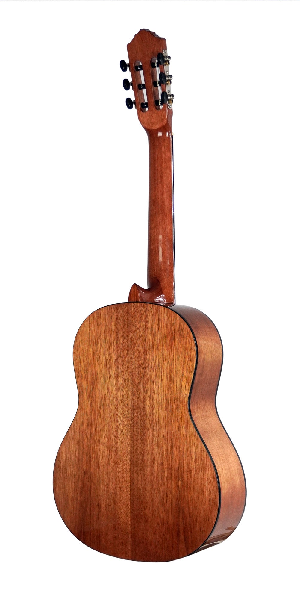ORTEGA RST5CG GUITARE CEDRE BRILLANT