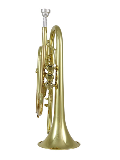 Cornet Si bémol Carolbrass Professional All Round 5L