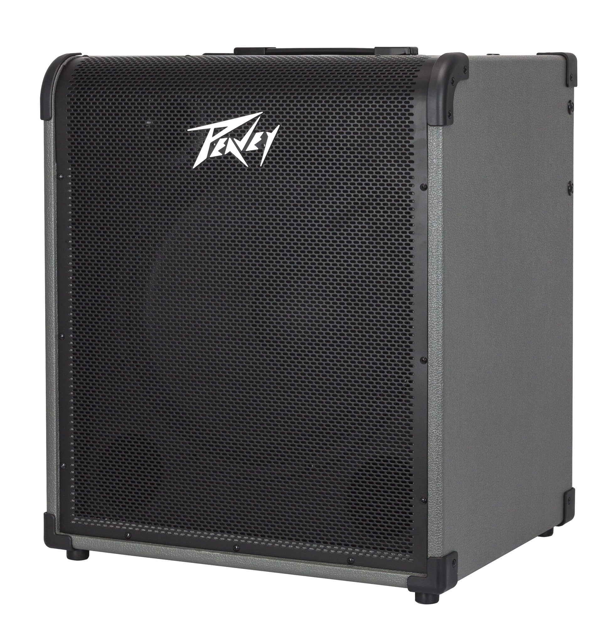 Ampli basse électrique 150W, HP 1x 15" Premium, EQ 3 bandes, entrée auxiliaire, sortie DI, finition noir