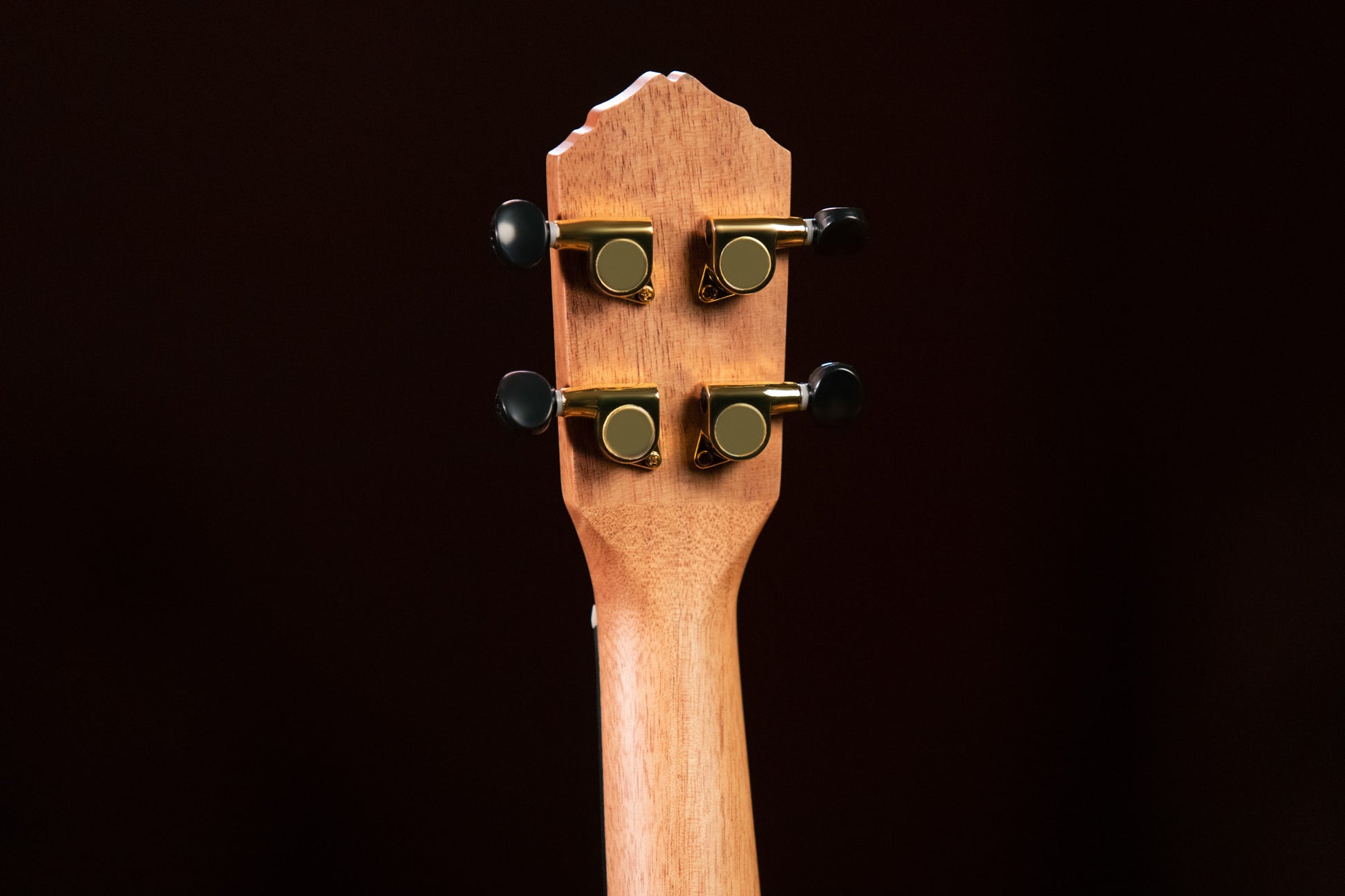 RUEB-CC, modèle Concert, table ébène, fond & éclisses ébène, touche & chevalet noyer, housse deluxe, satiné pores ouverts