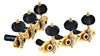 Ortega Classical Mechanics Private Gold