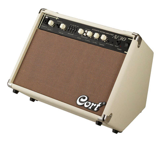 Ampli guitare acoustique 30W, 1 x 8" + tweeter, entrées MIC/AUX (XLR/Jack) avec volume, multi-effets, réverb