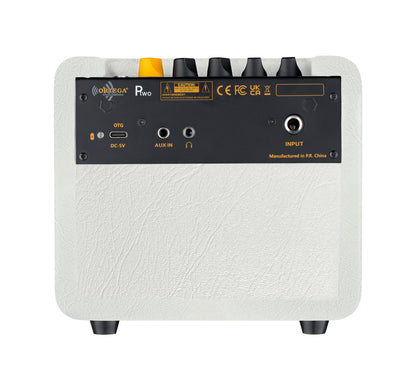 PTWO-LTD, ampli combo guitare acoustique 12W, Streaming Bluetooth, sortie casque, delay, reverb & chorus intégrés, simili cuir