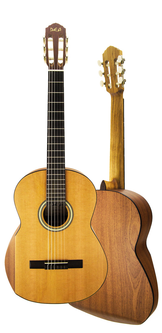 STD C, 1/2, table cèdre massif, f/e acajou, touche blackwood, sillets composite, chevalet palissandre, mat satiné