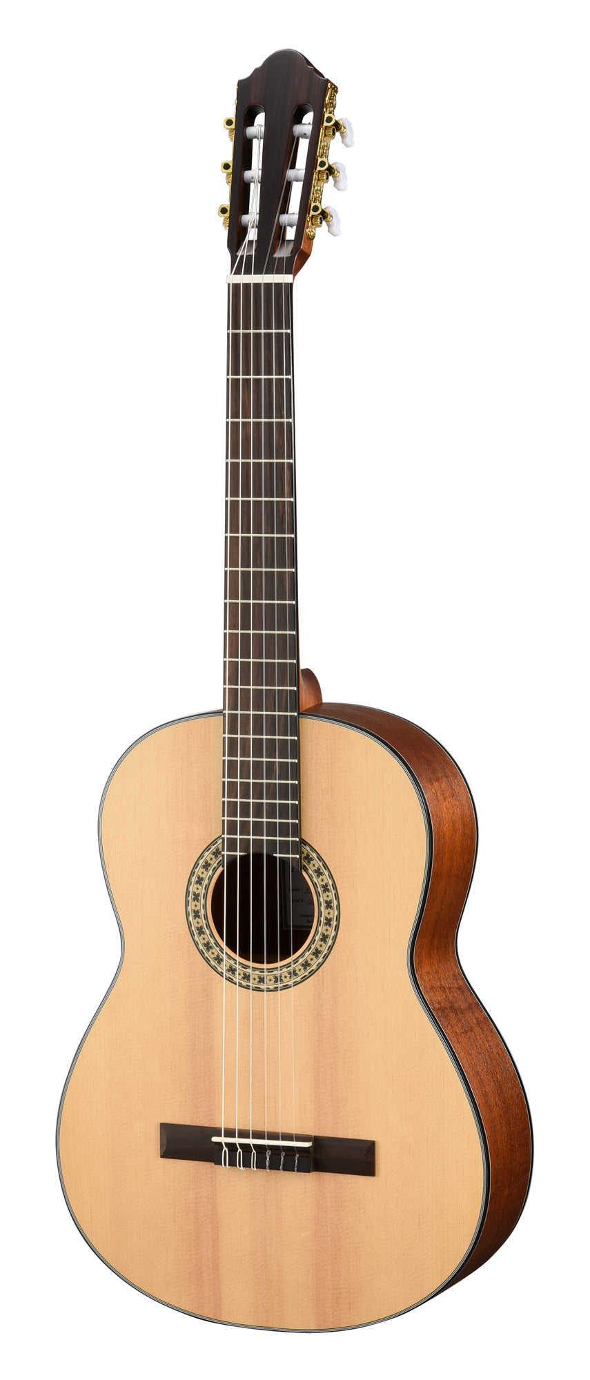 N550EW, 4/4, table épicéa massive, fond et éclisses acajou, EQ Walden MG-20, naturel brillant