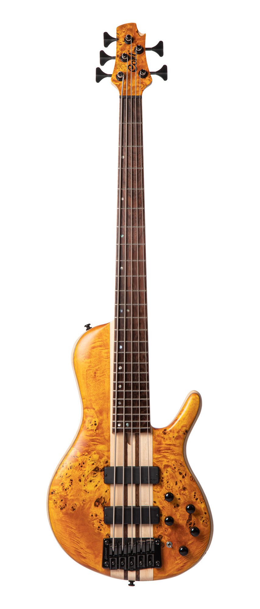 A5 Plus SC, single cutaway, corps frêne, table peuplier figuré, manche traversant, micros et EQ Bartolini MK-1, ambre, étui
