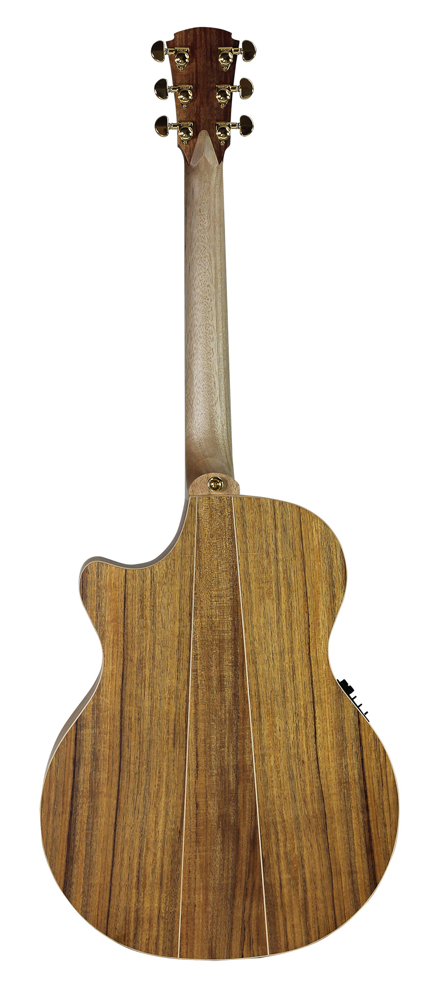 GUITARE COLE CLARK AN2EC, ETUI
