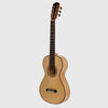 ESTEVE LACOTE ROSEWOOD GUITAR