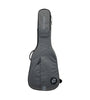 Ritter Dreadnought Grey Cover