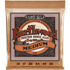 Ernie Ball string set 2144