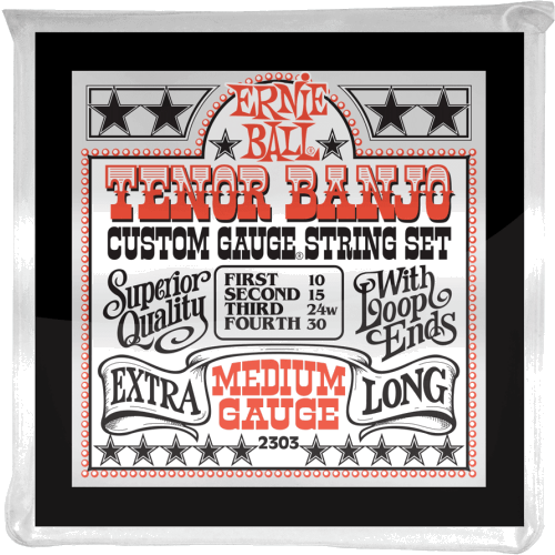 Ernie Ball string set 2303