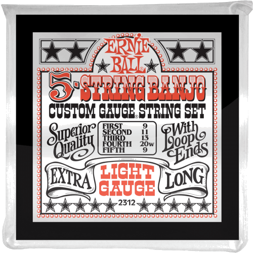 Ernie Ball string set 2312
